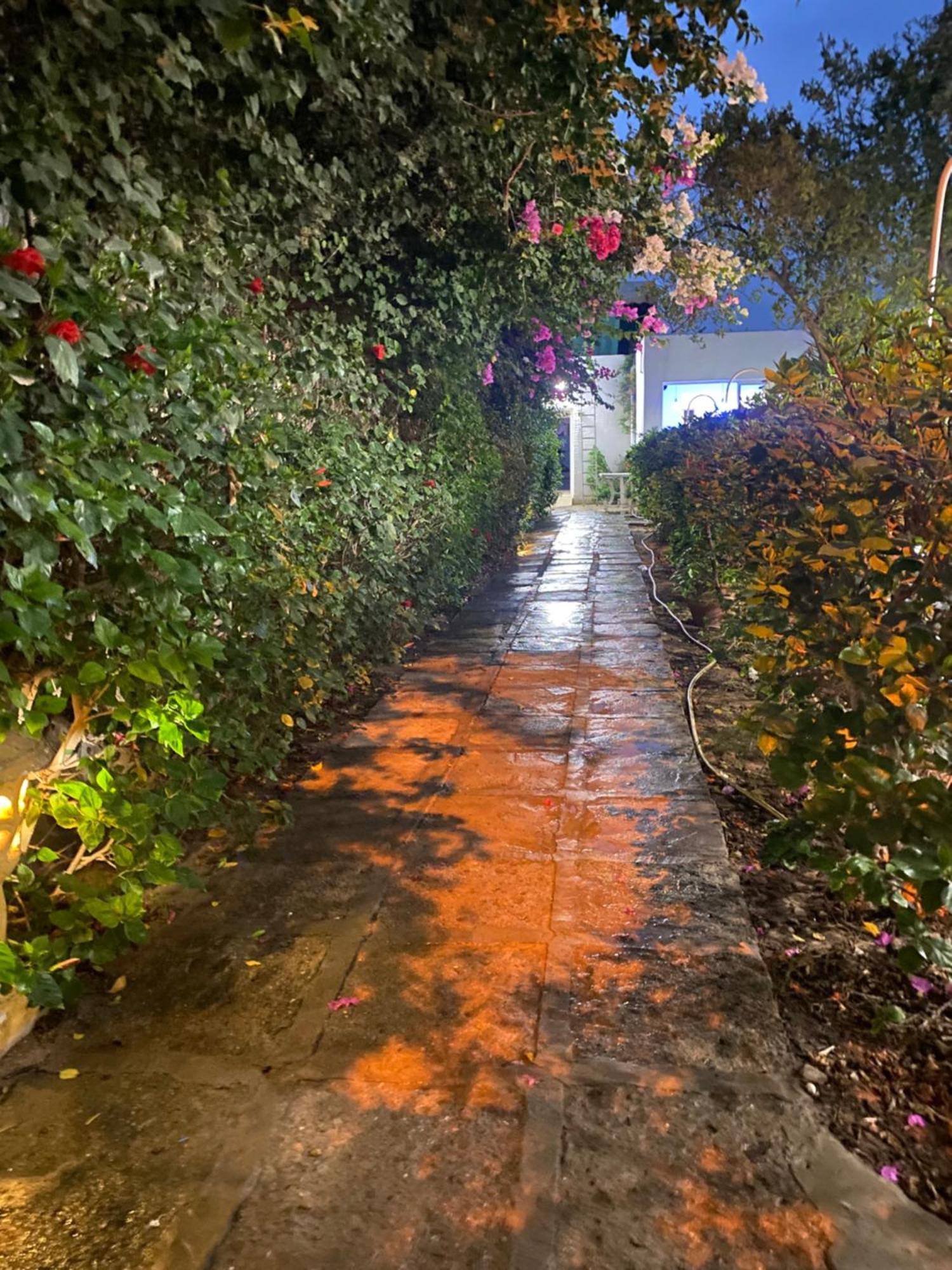 Bungalow El Houda ฮัมมาเม็ต ภายนอก รูปภาพ